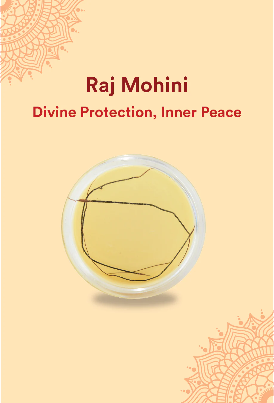 Original Raj Mohini Jadi for Prosperity,Protection and Vashikaran with Free Mohini Mantra Book