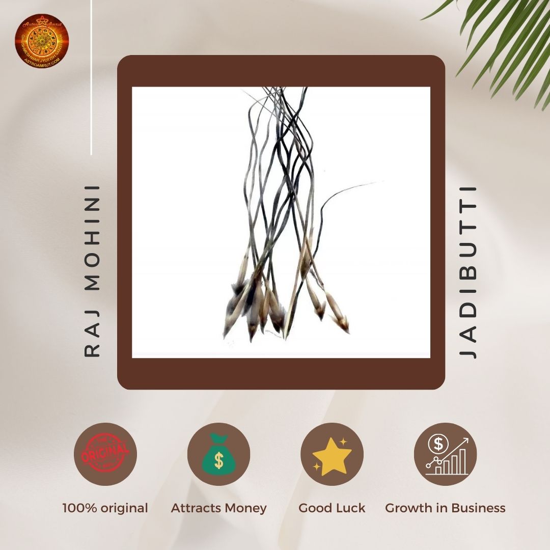 Original Raj Mohini Jadi for Prosperity,Protection and Vashikaran with Free Mohini Mantra Book